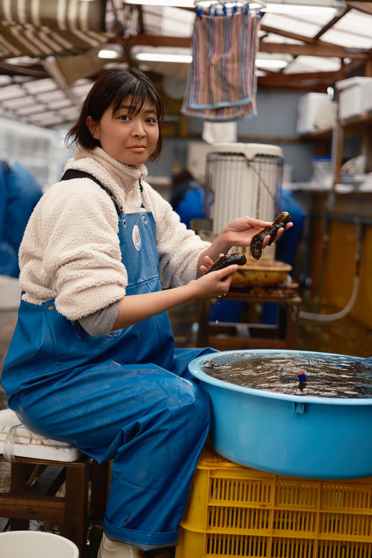 なまこの栄養成分｜コラーゲンやミネラルを美容視点で解説｜瀬戸内なまこ屋