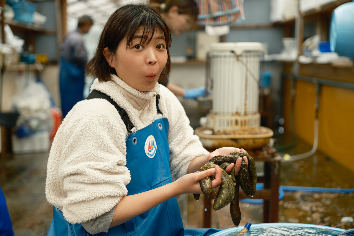 なまこの栄養素7選｜ほしこ・このわたの成分も解説｜瀬戸内なまこ屋