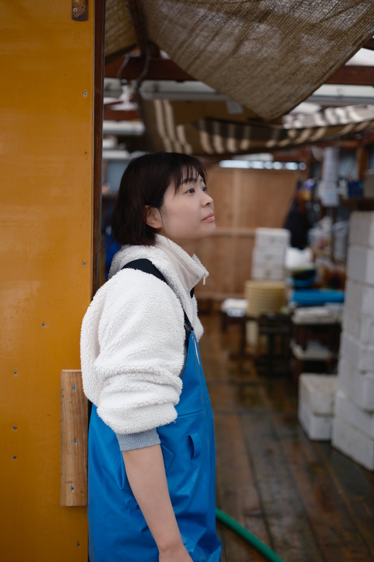 なまこの旬と保存方法｜冷凍・解凍・冷蔵のコツ｜瀬戸内なまこ屋
