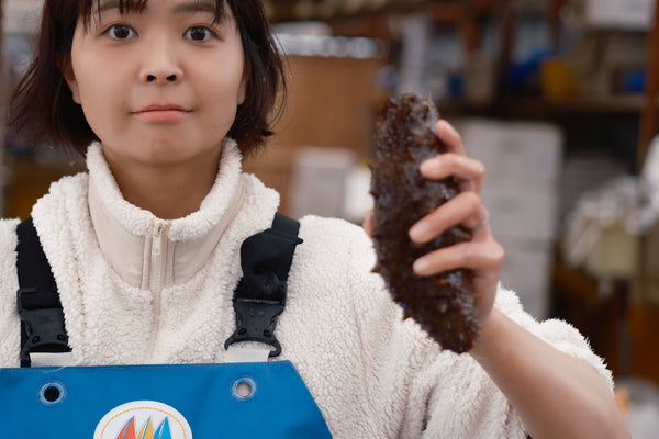 天然なまこ vs 養殖なまこ｜違いと選び方の完全ガイド