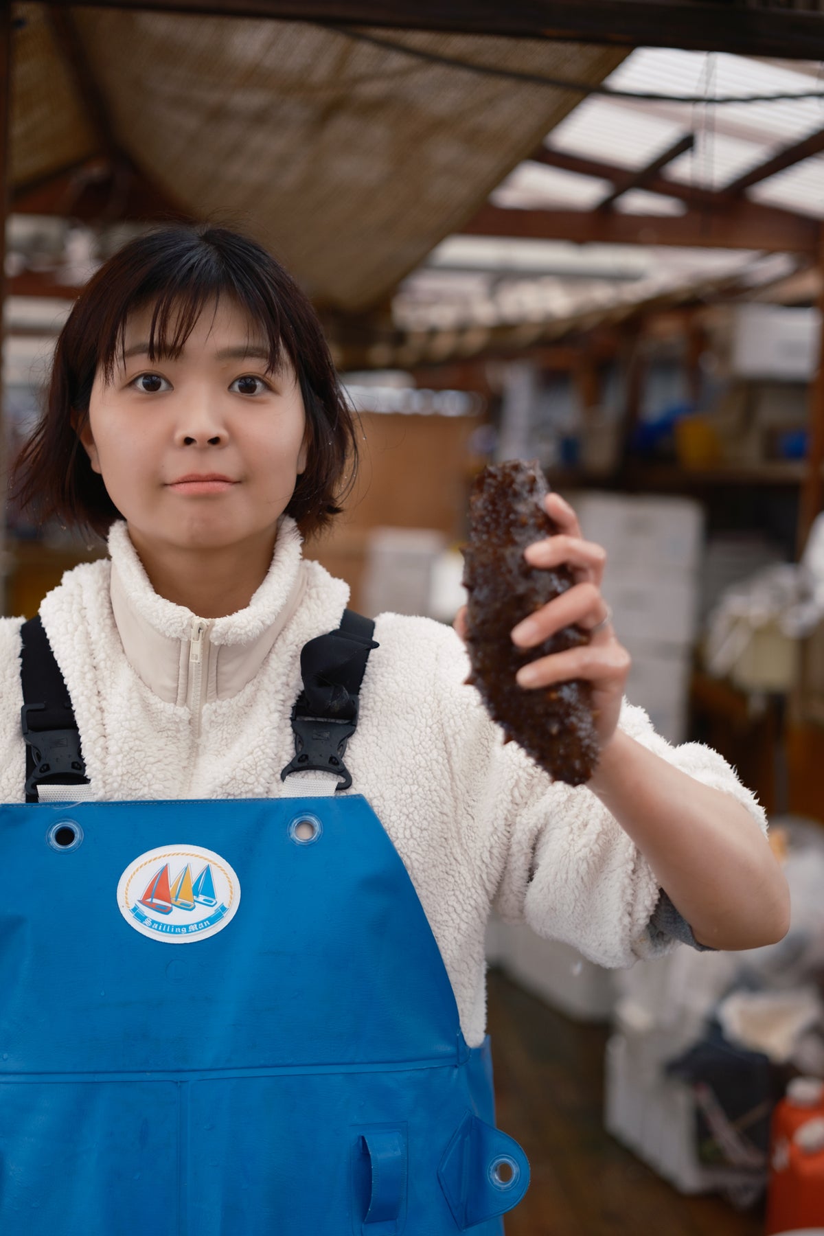 天然なまこ vs 養殖なまこ｜違いと選び方の完全ガイド