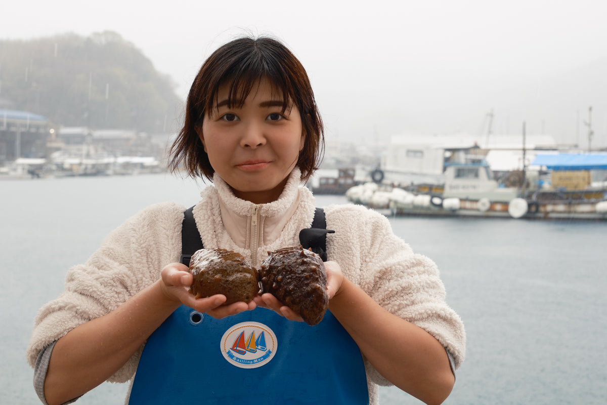 なまことは？種類・産地・食べ方の基礎知識｜瀬戸内なまこ屋