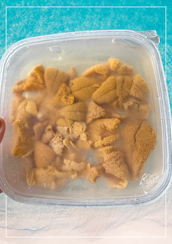 【数量限定販売】瀬戸内海産 塩水うに 80g 添加物不使用 採れたて即パック　赤ウニ - 瀬戸内海産 天然なまこ通販｜瀬戸内なまこ屋